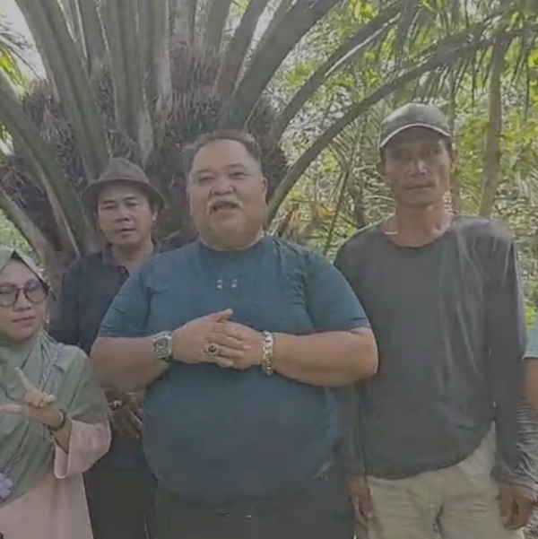 Bupati Bengkulu Selatan Berusaha Memberikan Harga Spesial Hasil TBS Program Replanting