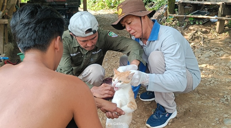 Waspada, Sudah Ada 156 Kasus Gigitan Hewan Penular Rabies di Kabupaten Seluma 