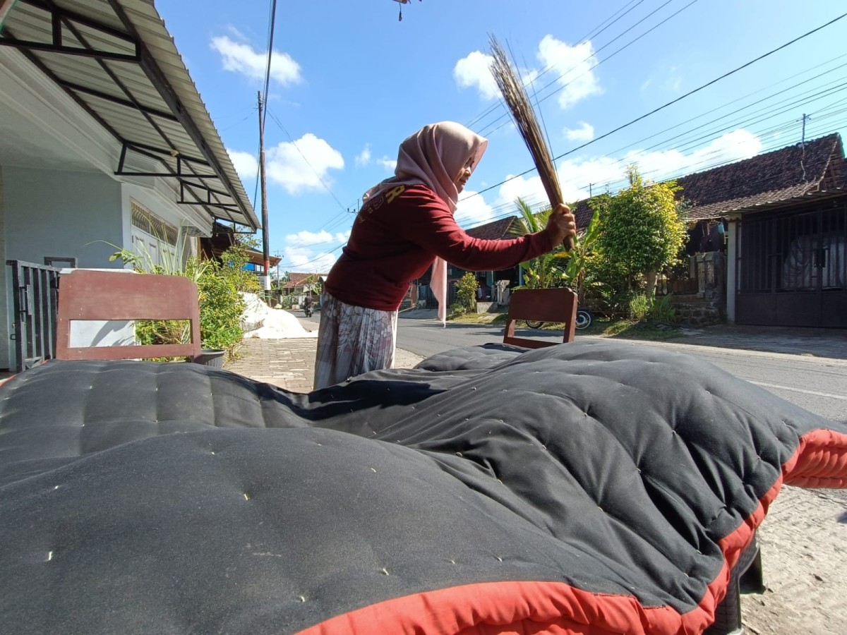 Mengapa Guling, Bantal dan Kasur Harus Dijemur? Simak Disini Penjelasannya