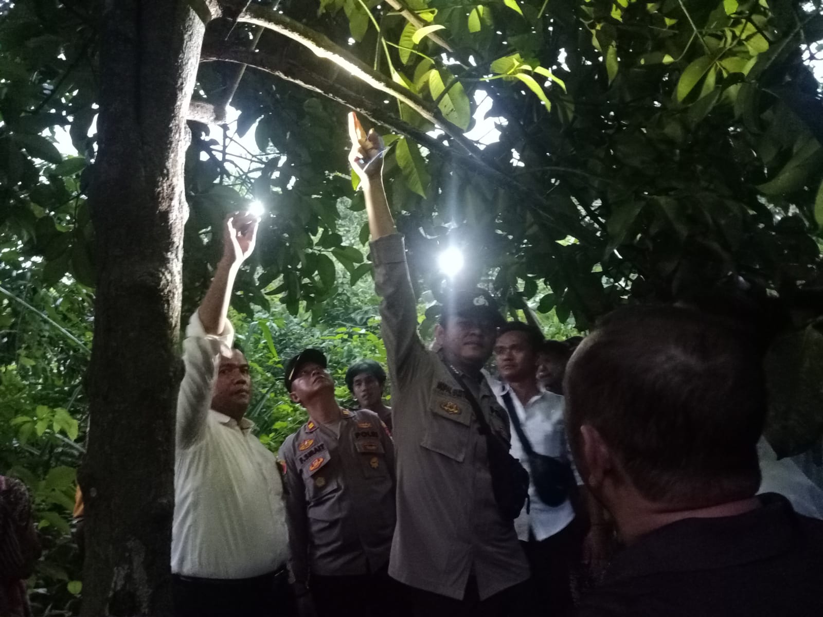 Kaget, Pemuda Dusun Tengah Gantung Diri di Pohon Manggis, Akhirnya Begini
