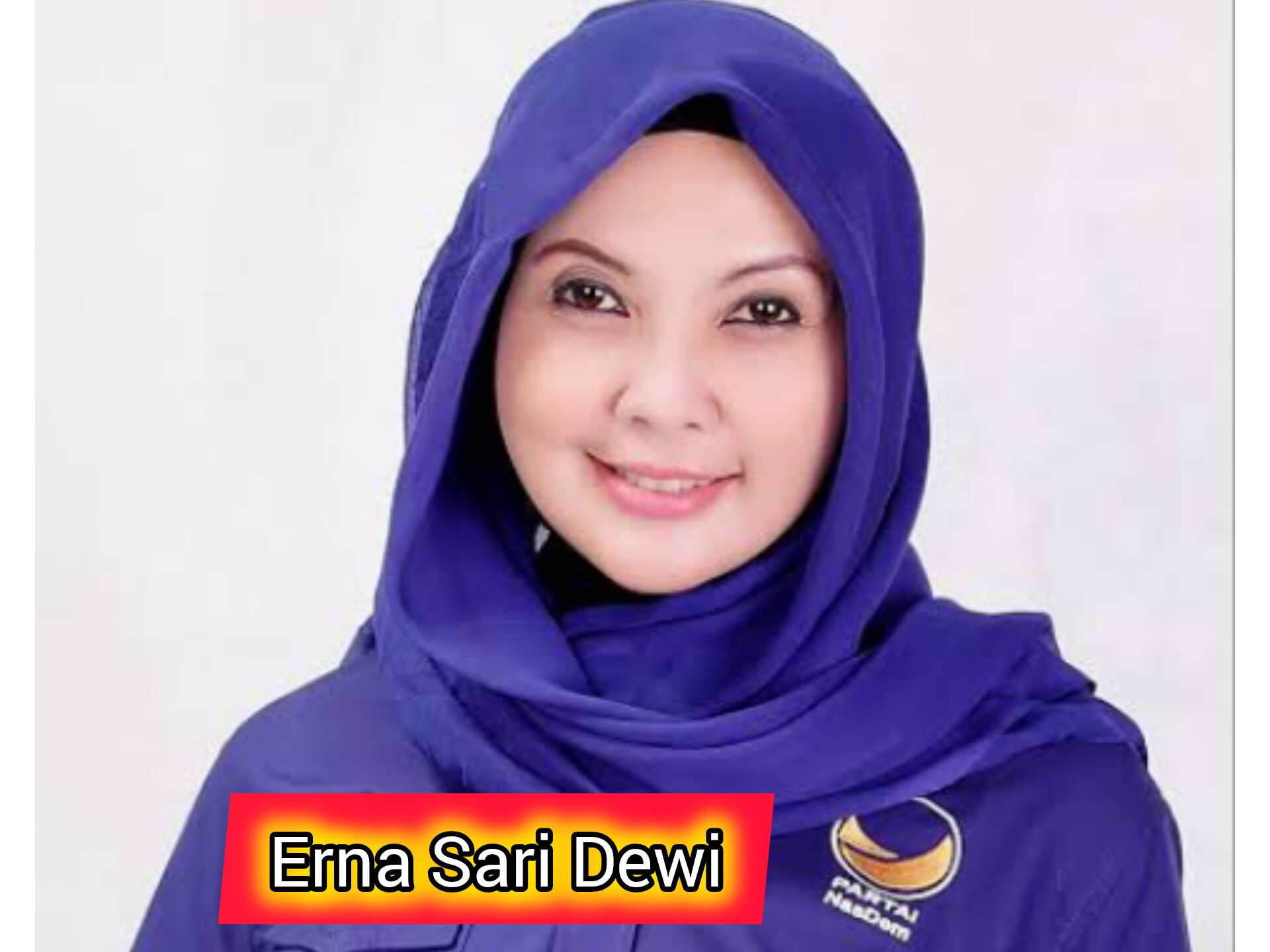 Erna Sari Dewi Menjadi Ketua DPW NasDem Provinsi Bengkulu Gantikan Posisi Ferry Ramli