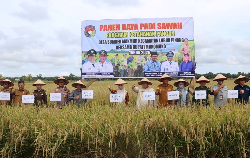 Bupati Mukomuko Panen Raya di Sumber Makmur 