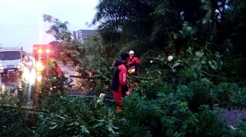 Pemkot Bengkulu Siaga Dampak Cuaca Ekstrem