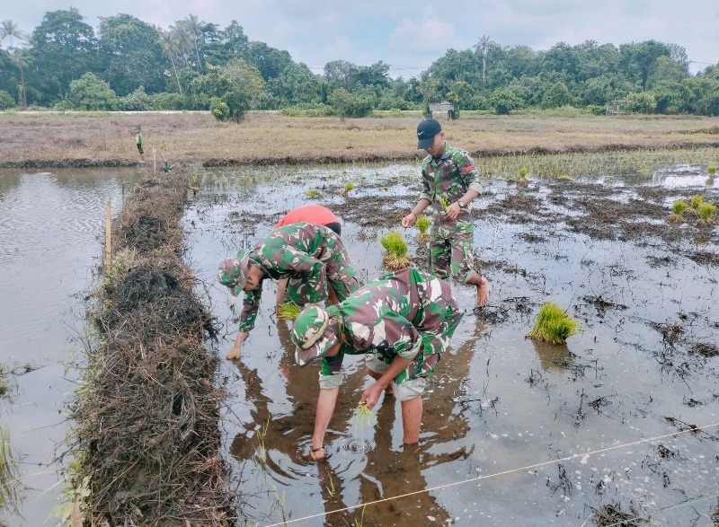 Demi Mendukung Program Ketahanan Pangan,  Satgas PAM Puter Enggano Turun ke Sawah 