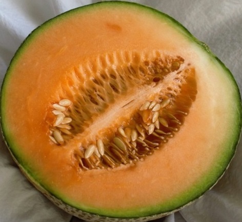  Buah Melon Ampuh Turunkan Tekanan Darah dan Jaga Imunitas