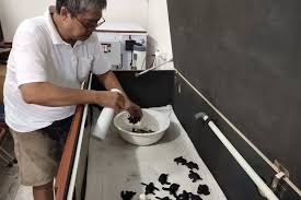 Mahasiswa UNIB Ciptakan Inkubator Telur Penyu, Tingkatkan Kelestarian Spesies Terancam Punah