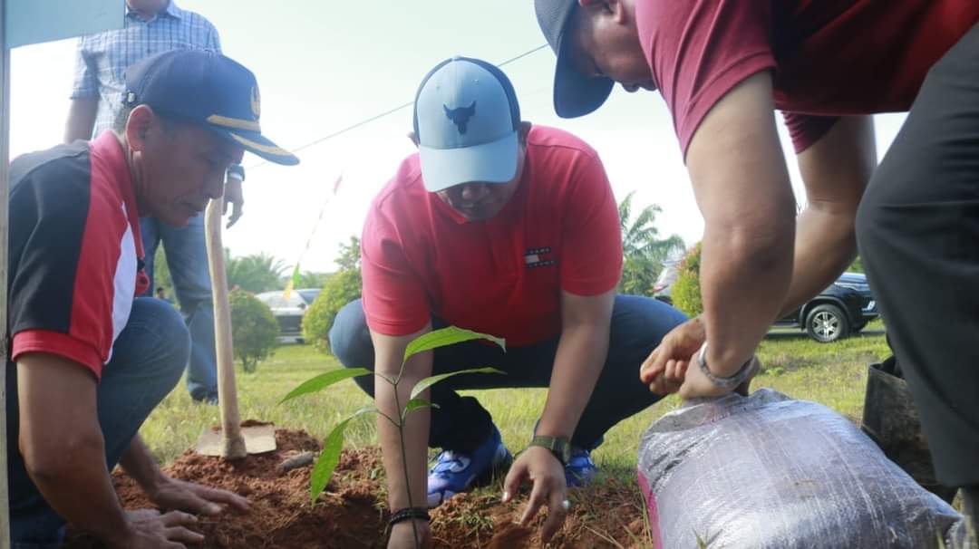 Bupati Seluma Gerakkan  OPD Memanfaatkan Lahan Pekarangan