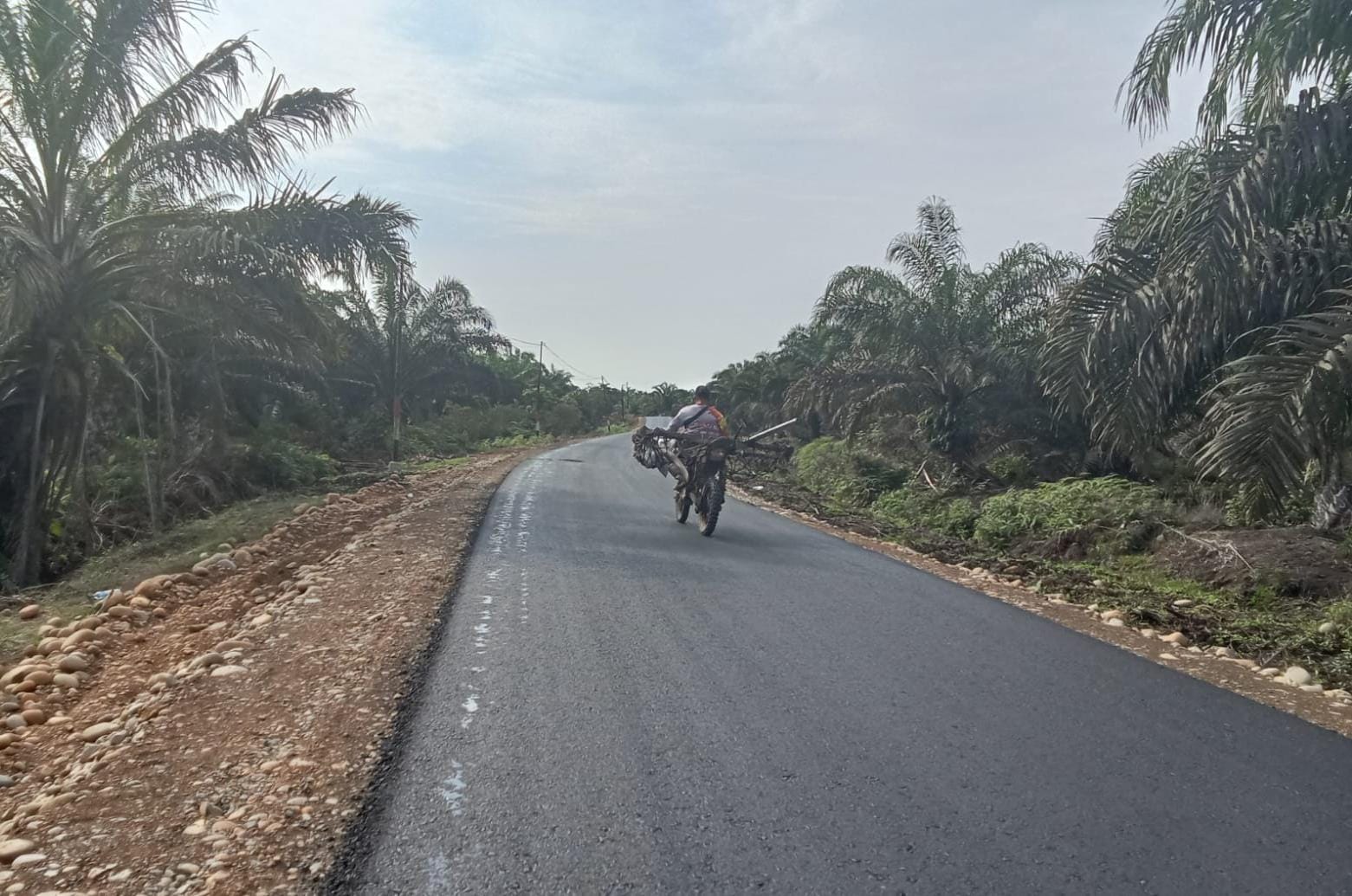 Jalan Danau Nibung Menuju Sp7 Rawa Mulya dan Lubuk Sanai Sudah Hotmix Mulus