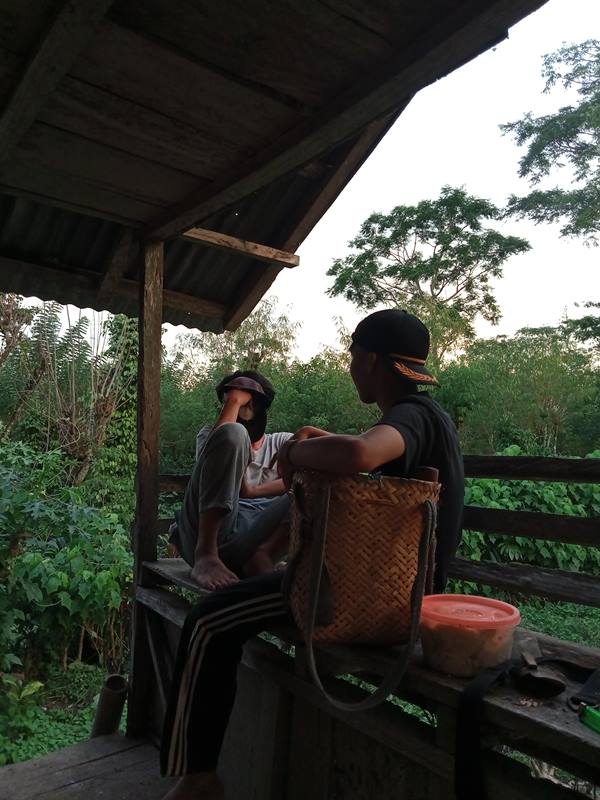 Ketika Liburan Tiba, Mahasiswa UINFAS Bengkulu Manfaatkan Waktu di Kebun Durian