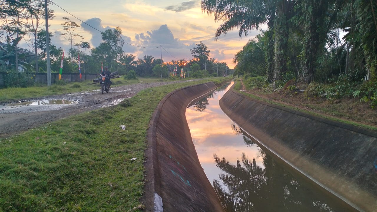 Warga Lubuk Pinang Kecewa Tidak Ada Penindakan Alih Fungsi Sawah Jadi Kebun Sawit 