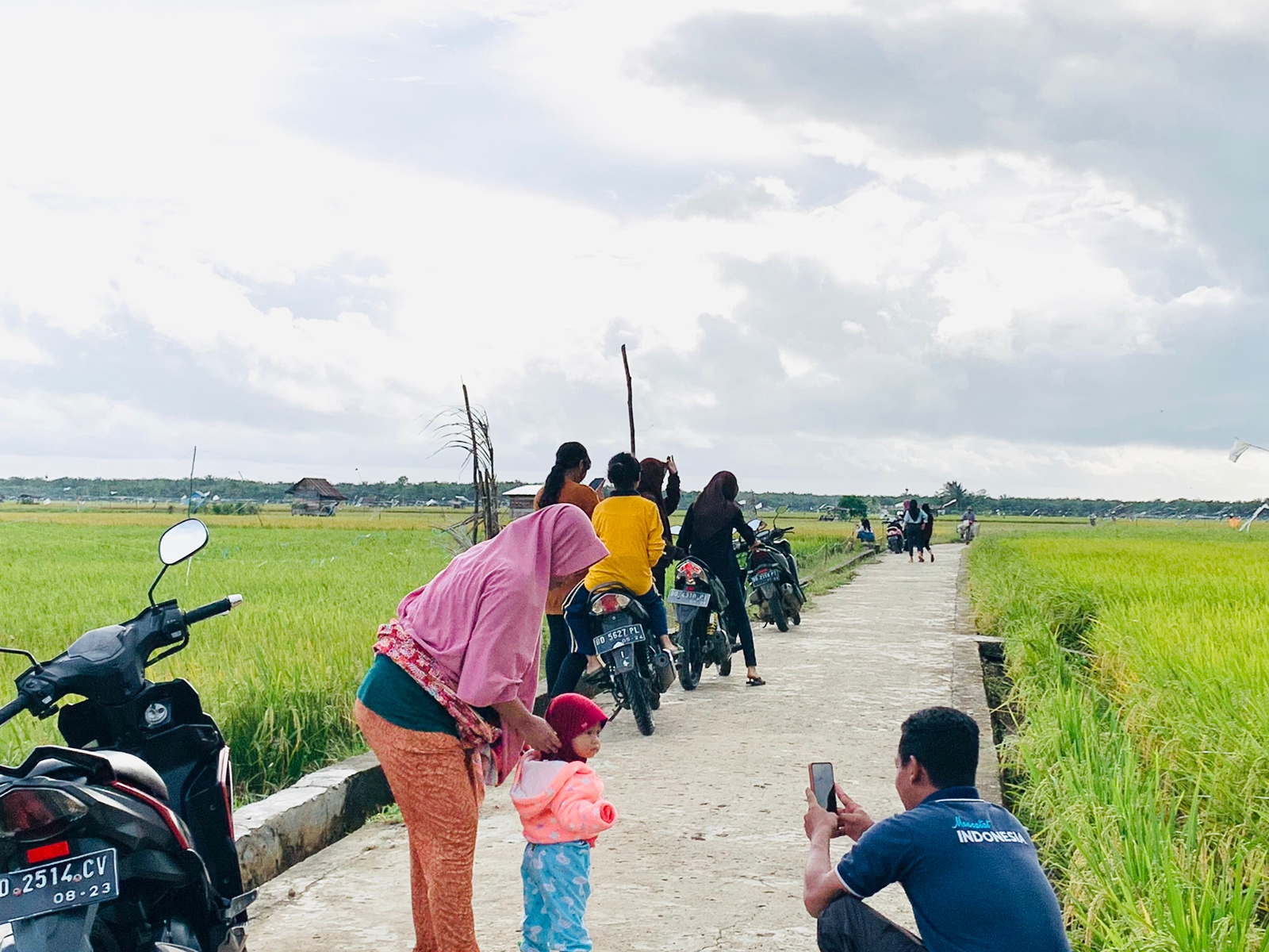 Lagi Viral, Pesona Keindahan Persawahan Dusun Mekar Jaya Dinikmati Warga Bersama , Gratis 