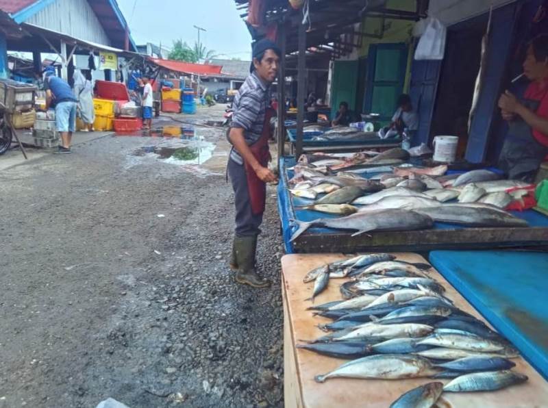 Harga Bersahabat, TPI Pulau Baai Jadi Pilihan Warga Cari Ikan Segar