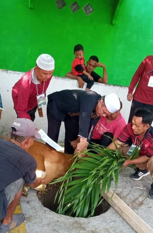 Jemaah Mesjid  Jami' Babussalam Kota Bengkulu Kurban Tujuh Ekor Sapi