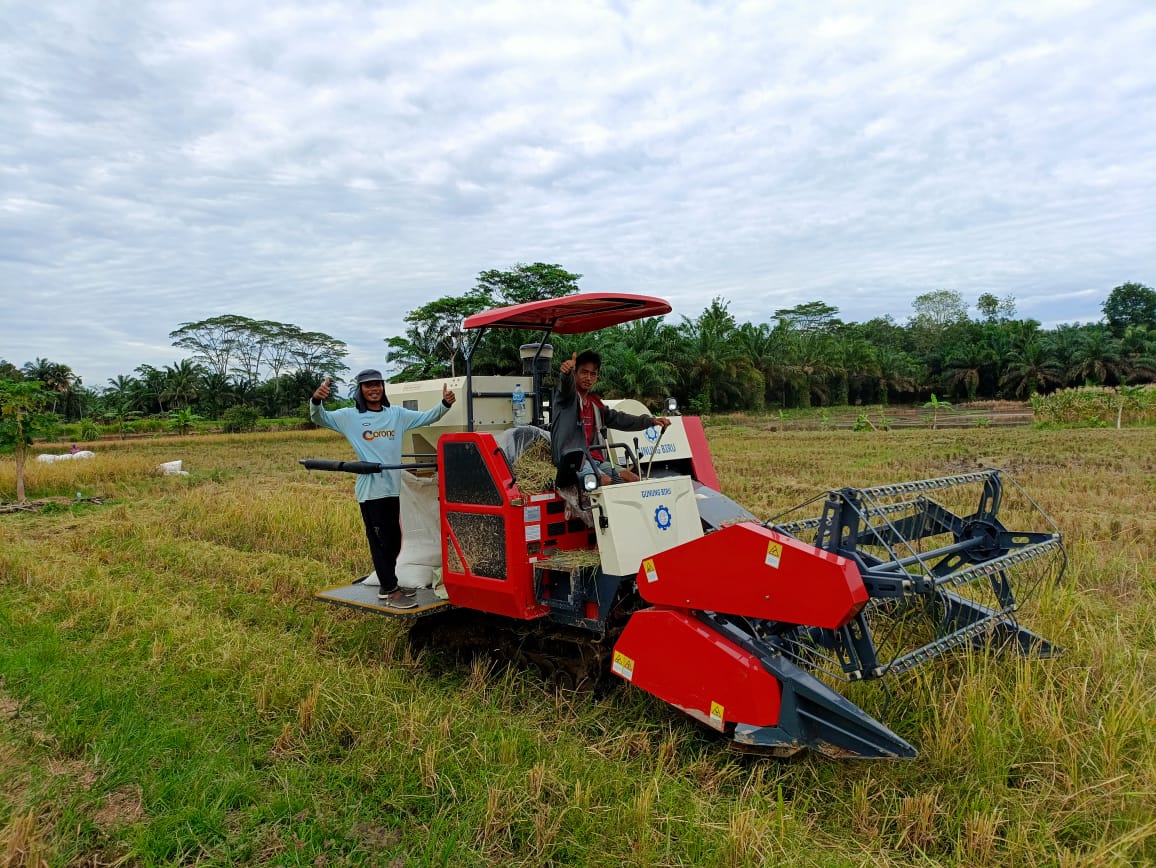 UPJA Maju Bersama Lubuk Gedang Dapat Pinjam Pakai Alsintan Kementan, Apa Bedanya dengan Poktan 