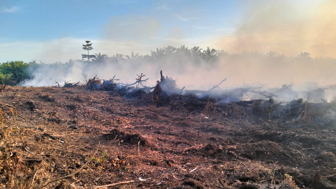 Breaking News, Lahan Gambut di Desa Kota Praja Mukomuko Terbakar, Cuma 10 Meter dari Rumah Warga 