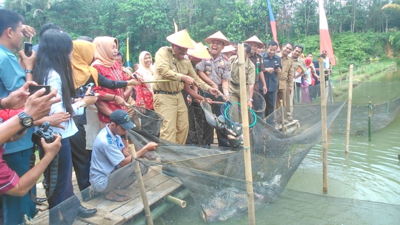 Bupati Mian Panen Raya Ikan dan Buka Lomba Masak Serba Ikan se BU