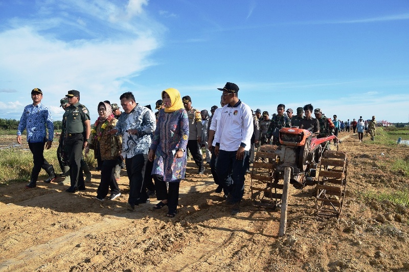 Pihak Kementan Puas Dengan  Hasil Cetak Sawah Mukomuko