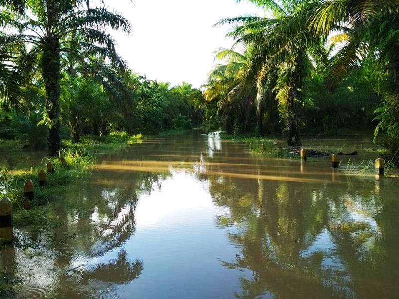 Akses Menuju Seluma Selatan – Ilir Talo Putus Akibat Banjir