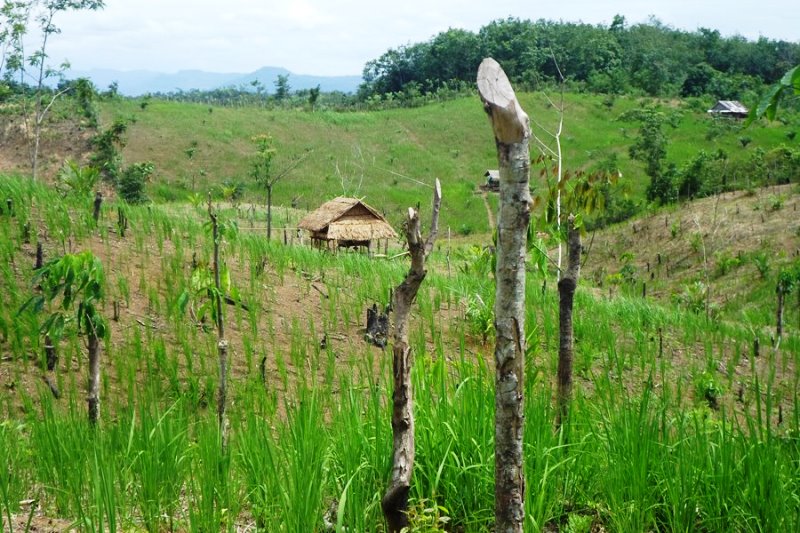 Potensi Lahan Tidur di Benteng Masih Besar