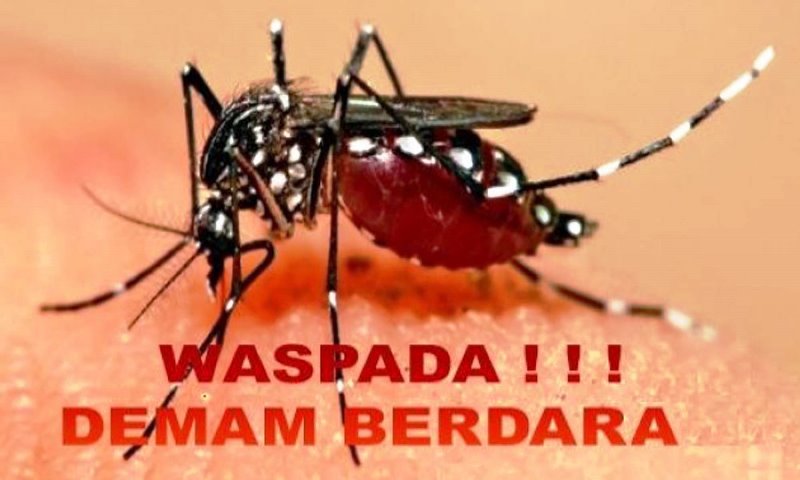 Warga Diminta Waspada DBD Kembali Menyerang