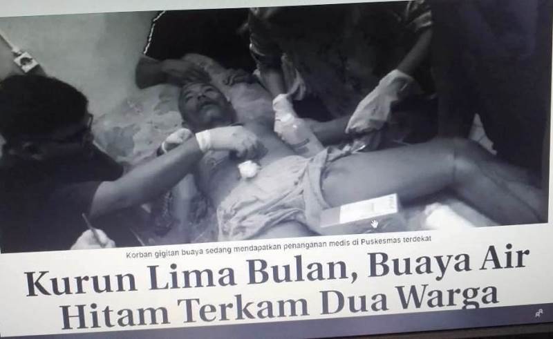 Kurun Liman Bulan, Buaya Air Hitam Terkam Dua Warga