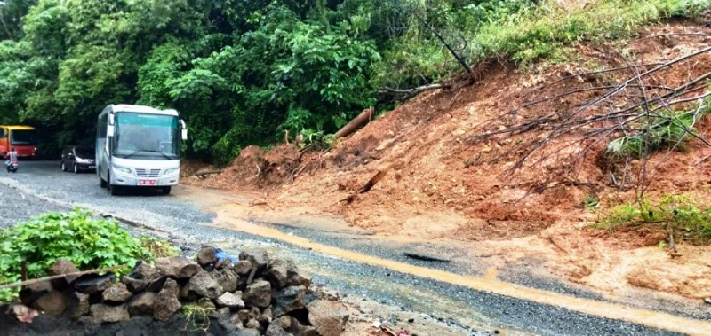 Waspada Longsor dan Pohon Tumbang