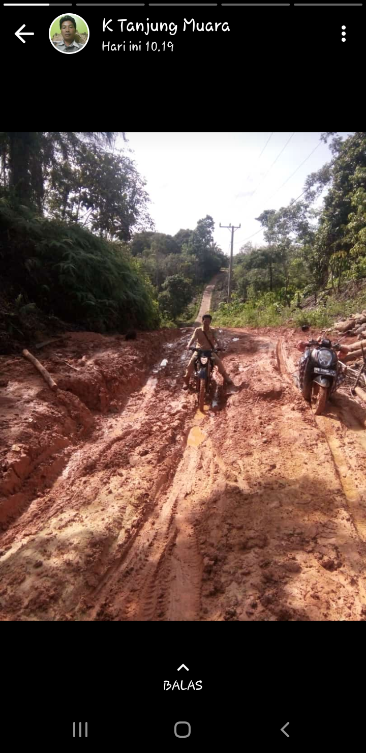 Memprihatinkan, Jalan Tanjung Muara Perlu Perhatian