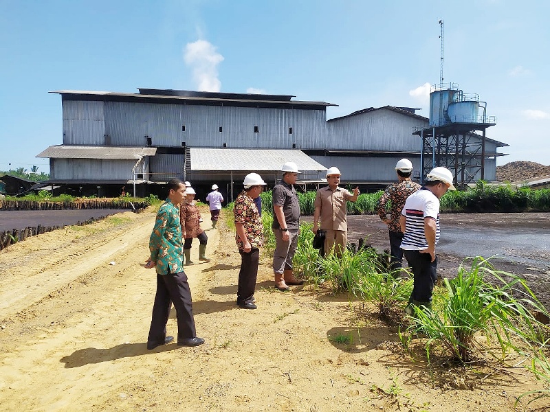 Sepertiga Perkebunan Sawit di Mukomuko Milik Investor