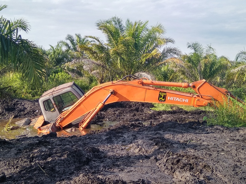 Alat Berat “Pelat Merah” Terbenam di Lahan Sawit Bergambut