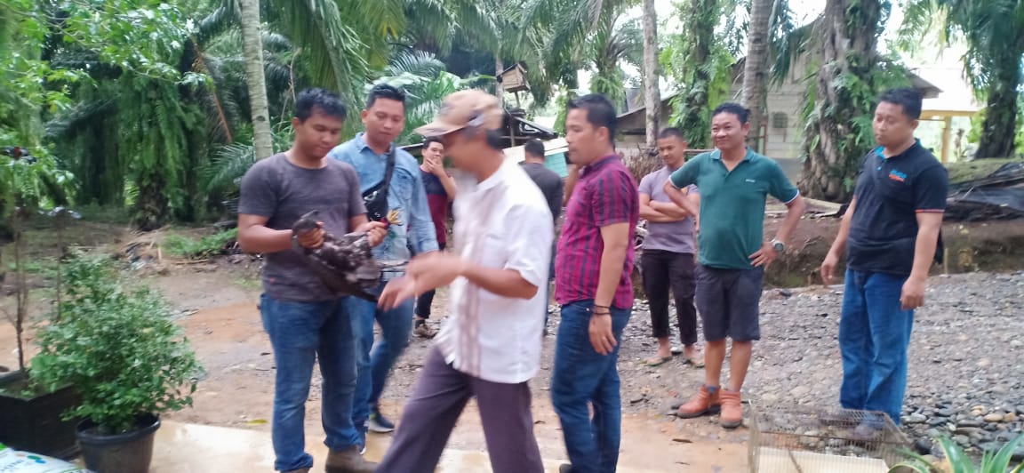 Pelihara Elang dan Siamang, Dua Orang Warga Ulok Kupai Diamankan