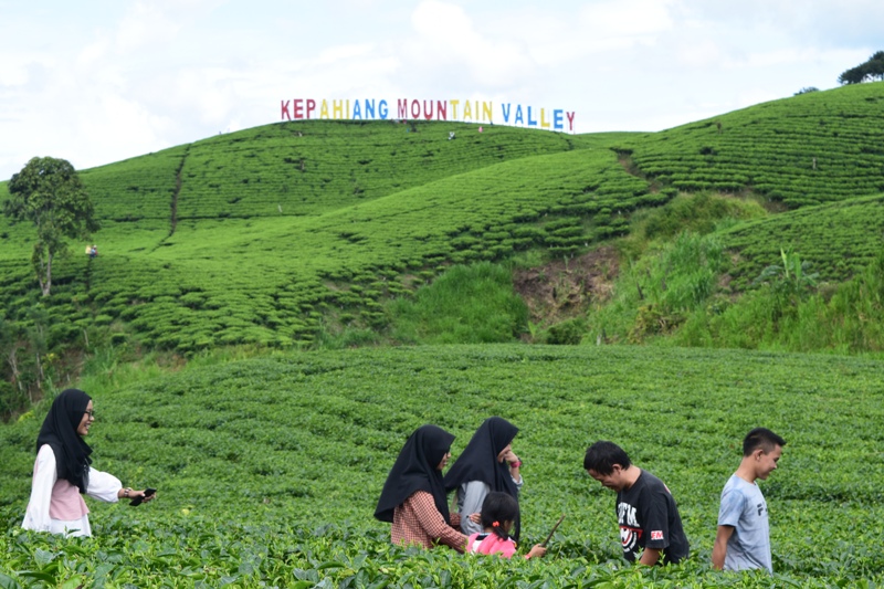 Tulisan Kepahiang Mountain Valley Belum Hasilkan PAD