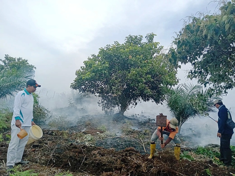 Lahan Gambut di Kota Mukomuko Terbakar