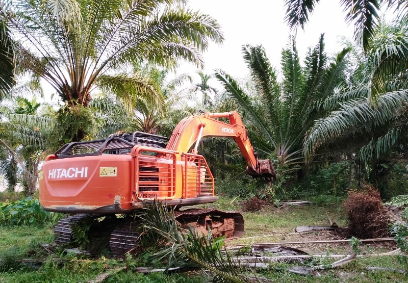 Selamatkan Debit Air Bendungan Manjunto,  Sawit di Sempadan Sungai Dibabat Habis