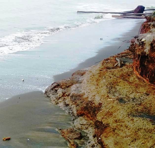 Tambatan Perahu Digerus Abrasi, Kades Lubuk Tanjung Minta Perhatian Pemerintah