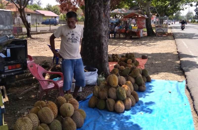 Kontingen Porwil Sumatera Bisa Rasakan Enaknya Durian Bengkulu