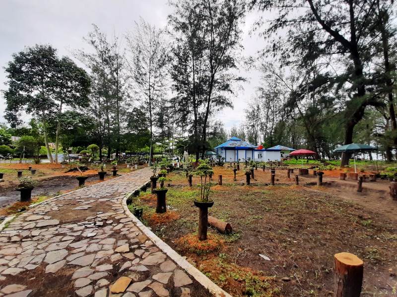 Februari 2020 Taman Bonsai Kota Bengkulu Dilaunching