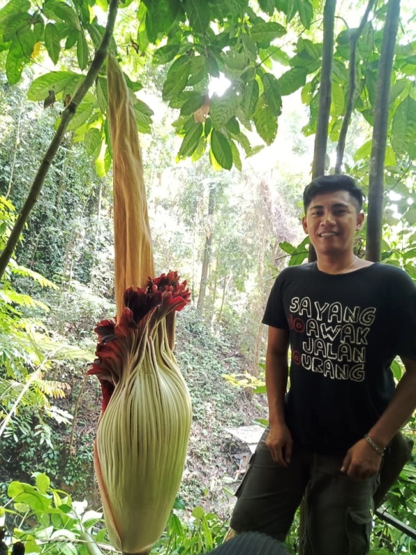 Wisata Air Terjun Talang Buai Diabaikan Pemerintah