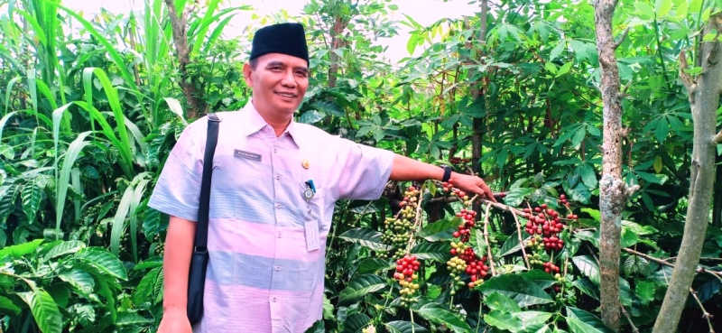 Petani Minta Kopi Sambung Tunas