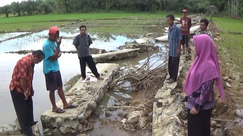 Irigasi Jebol, 108 Hektar Sawah Warga Seluma Terancam Gagal Panen