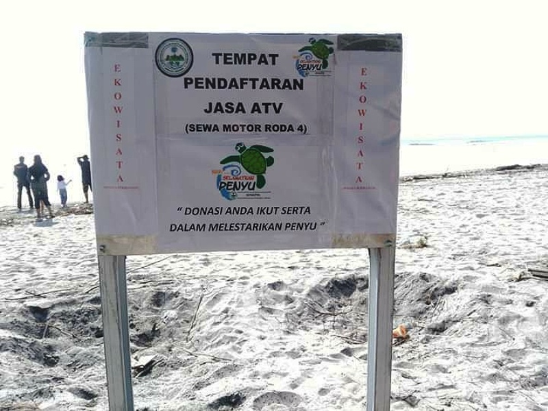 Ayo Datang ke Ipuh, Wisata Sambil Selamatkan Penyu