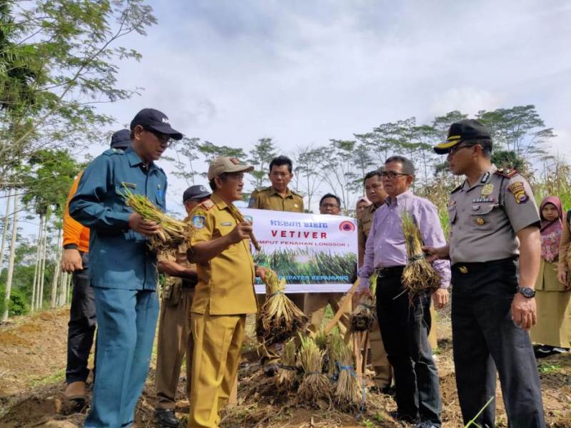 Cegah Longsor, Bupati Kepahiang  Minta Warga Tanam Rumput Vetiver