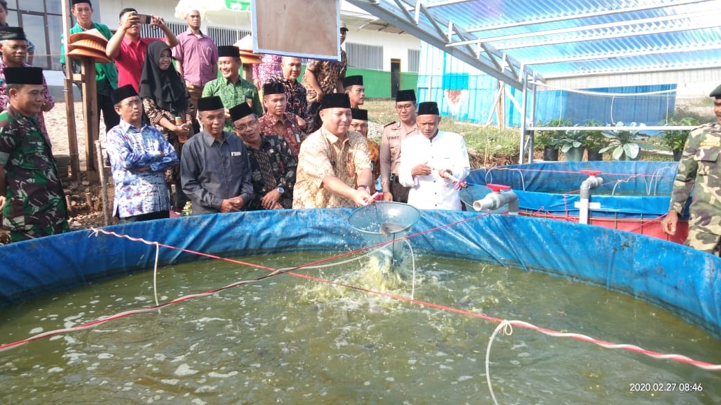 Budidaya Ikan Patin Akan Tingkatkan PAD