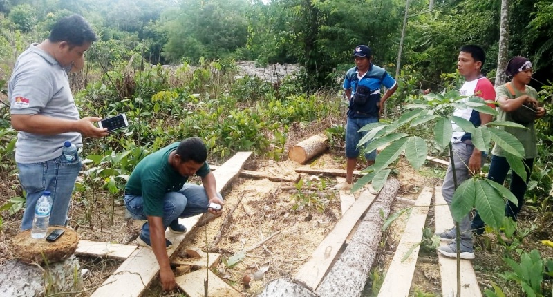 Tim Operasi Wanalaga, DLHK Provinsi Bengkulu Cek Tunggul dan Kordinat Lokasi Hutan Bouven Lais