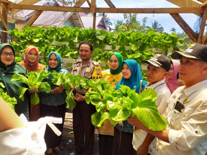 Ketua PKK BS Kunjungi Lokasi Budidaya Tanaman Hidroponik