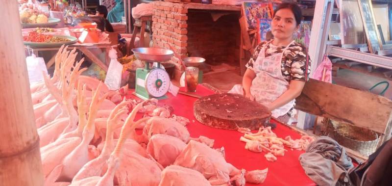 Harga Ayam Potong di Kota Bengkulu Turun