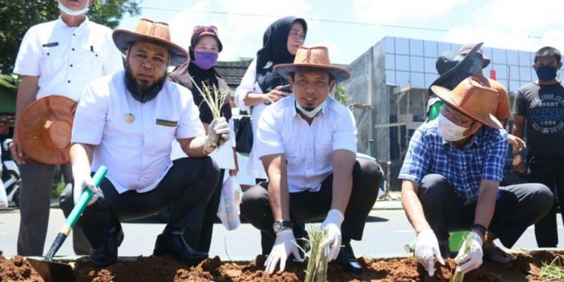 Walikota Bengkulu Tanam Serai di Median Jalan