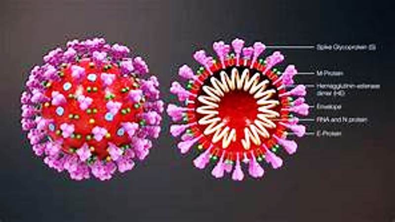 Virus Corona di Bengkulu Utara Terus Bertambah