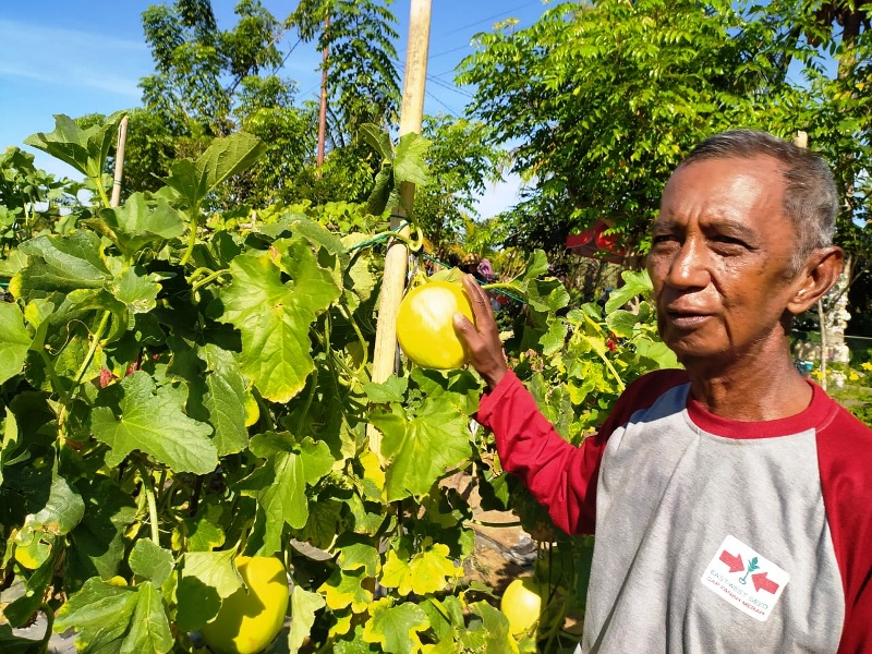 Objek Agrowisata Melon Ramai Dikunjungi Masyarakat