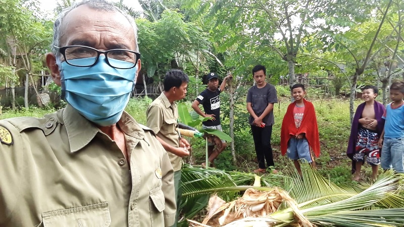 Warga Pagar Dewa Resah, Beruang Rusak Empat Batang Kelapa