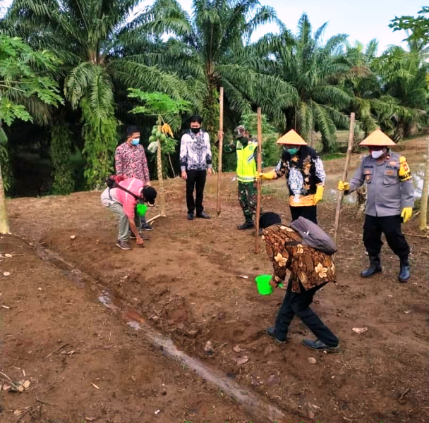 Kelurahan Rimbo Kedui Pilot Projek Kampung Tangguh Nusantara